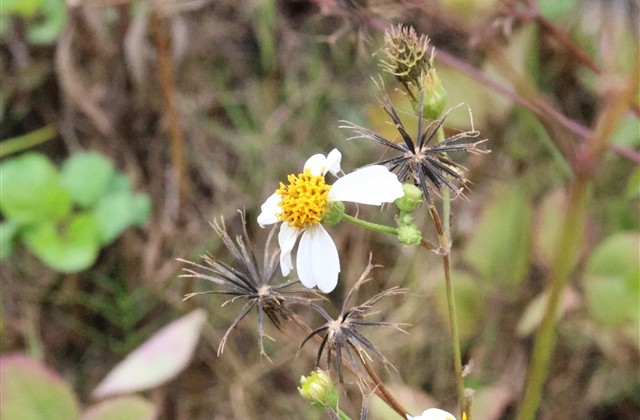 群里取一个什么昵称最搞笑(精选30个) 群里取一个什么昵称最搞笑(精选30个)