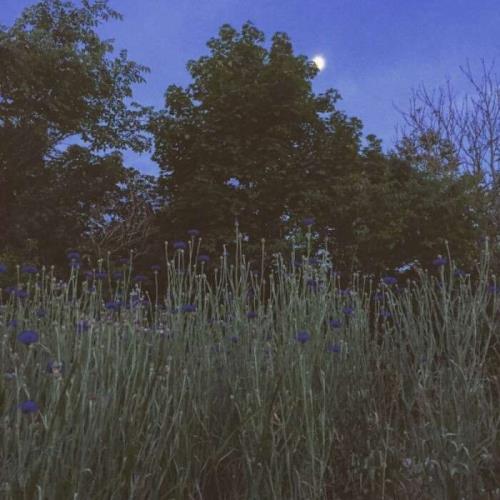 不再去说那些年少热血的话