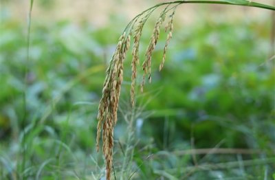 六个字好玩的游戏名字(优选2269个)