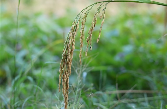 六个字好玩的游戏名字(优选2269个)