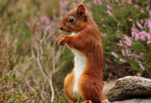 1691846727405918.png image.png