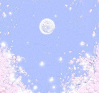 ​秋分的说说心情短语 秋分的唯美句子(精选49句)