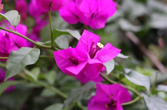 简单好听的游戏名字(优选270个) 简单好听的游戏名字(优选270个)