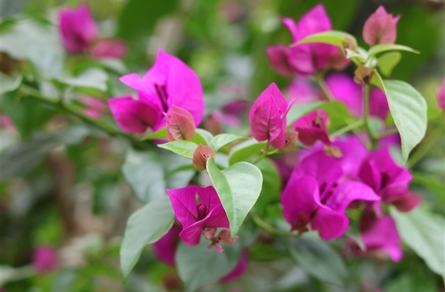 简单好听的游戏名字(优选270个) 简单好听的游戏名字(优选270个)