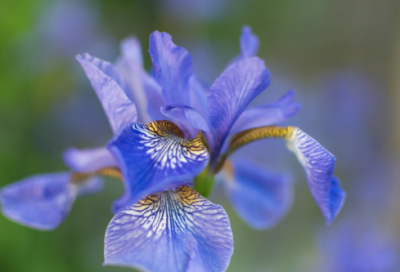 ​女生唯美网名大全221个