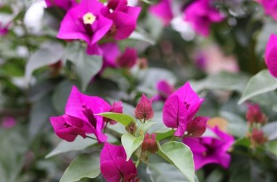 ​意义深奥的网名