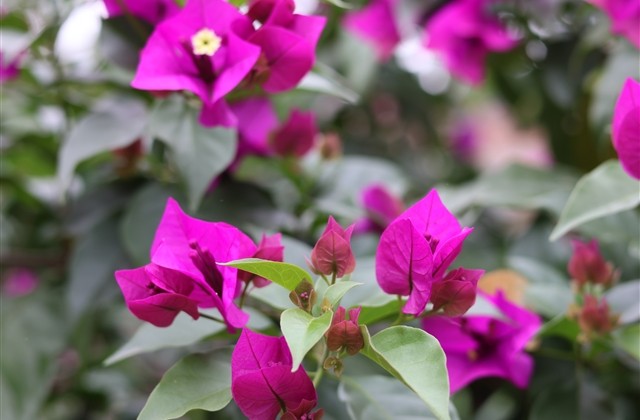 意义深奥的网名 意义深奥的网名