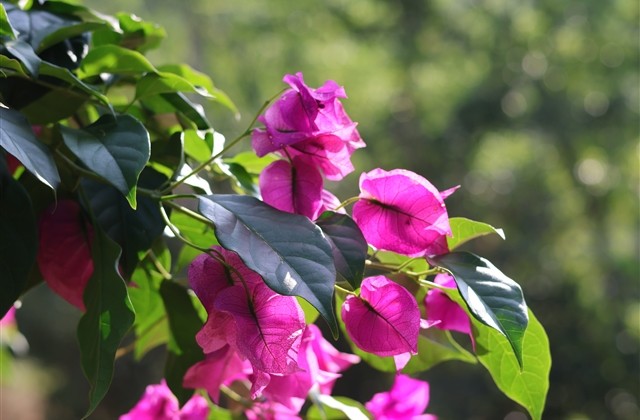 带有符号好听的游戏名女生的 带有符号好听的游戏名女生的