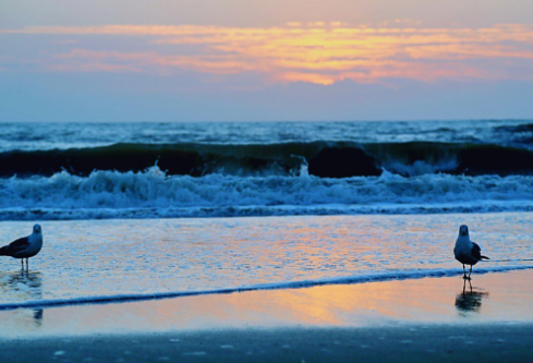 1685720241541770.png image.png