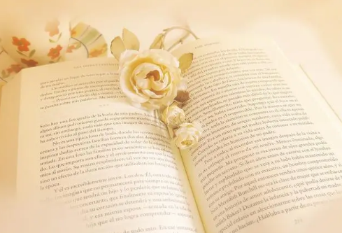 1685720408678094.png image.png