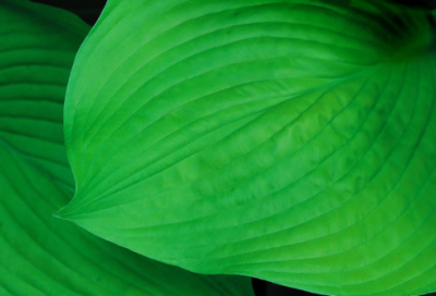 ​好听的商标名字(精选60个)