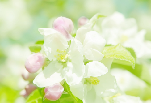 1692910721104704.png image.png