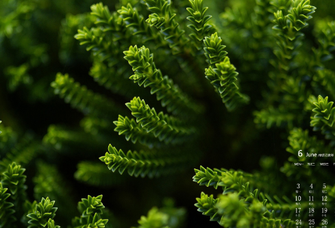 1692911053485355.png image.png