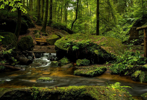 1692960061404369.png image.png