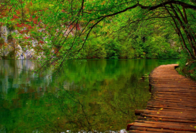 ​与佛有缘的昵称大全(优选69个)