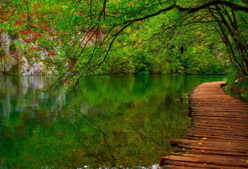 1692960225275403.png image.png