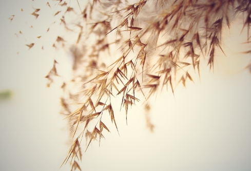 1686206497163563.png image.png