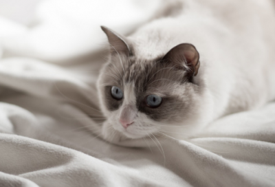 ​商店超市名字大全 取个好听的店铺名字