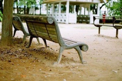 ​郁金花说说27句