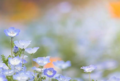 ​有格调内涵的帮派名字(82个)