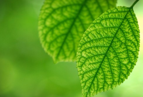 1692983269798583.png image.png