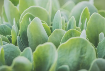 ​好听的社区名字大全(精选75个)