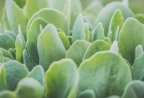 1692983766131173.png image.png