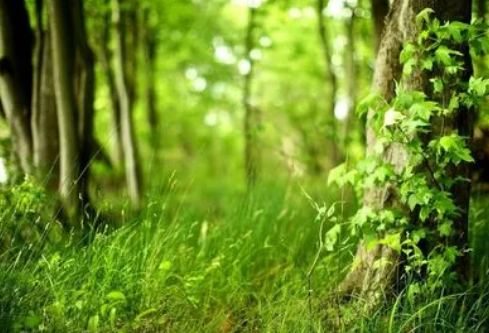 1692983932112239.png image.png