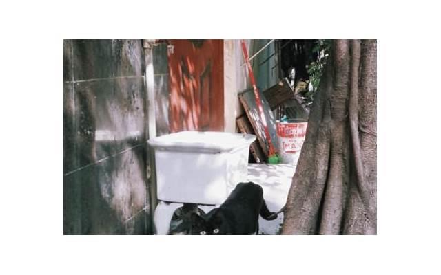 行也思君坐也思君的上一句是什么?意思详解 行也思君坐也思君的上一句是什么?意思详解