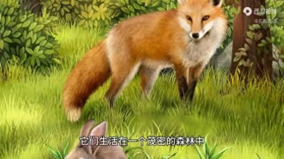 ​民间故事：《聪明的狐狸与勇敢的兔子》