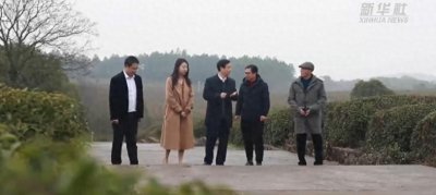 ​代表委员履职故事丨全国政协委员张玉清：抓牢“产科教融合”职教金钥匙