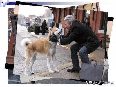 ​忠犬八公的故事