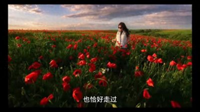​【情感故事】写一个女人的爱情故事