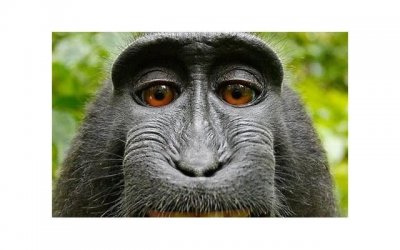 ​启东农村抖音文案创意（关于农村的抖音标题）