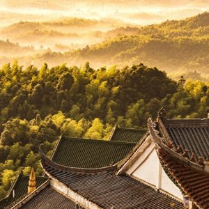 ​老年存款养老：三个老人的真实故事和启示