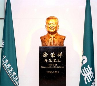 ​“美宝”的故事（12）