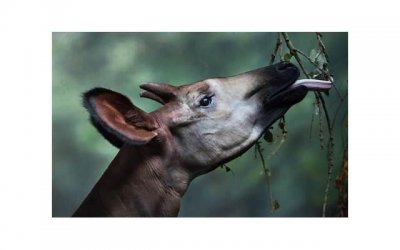 ​陪孩子的心情短语