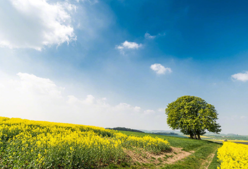 1686547532117038.png image.png