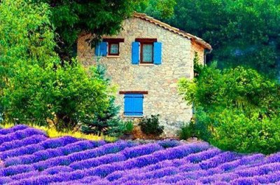 ​三月再见四月你好唯美说说寄语