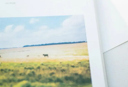 1687293246873793.png image.png