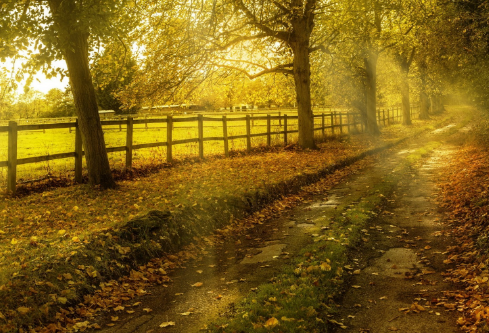 1711147376830591.png image.png