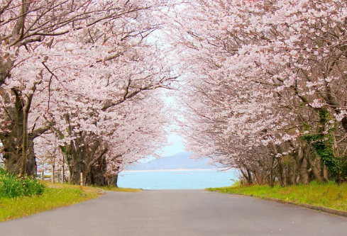 1686563668725655.png image.png