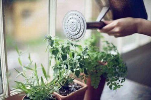 螺蛳粉的朋友圈文案