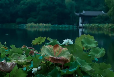 ​描写元宵节的句子精选61条