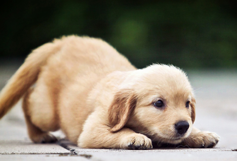 1686289601882681.png image.png