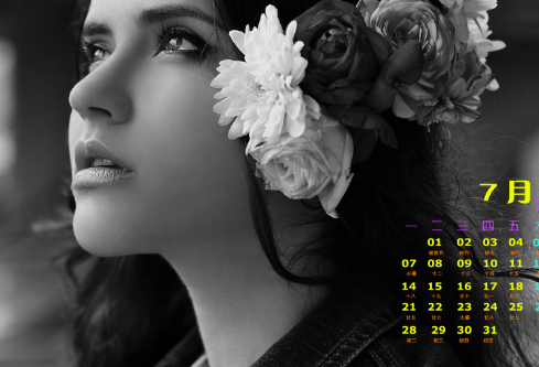 1686829529503133.png image.png