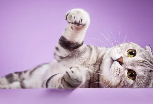 1686957683789689.png image.png