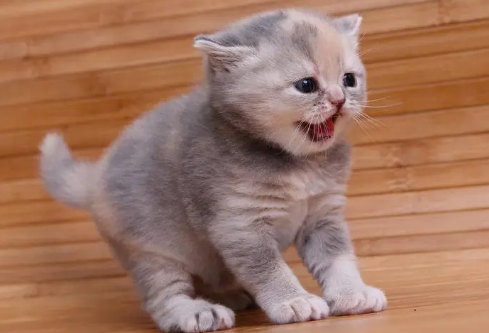 1686990299693054.png image.png