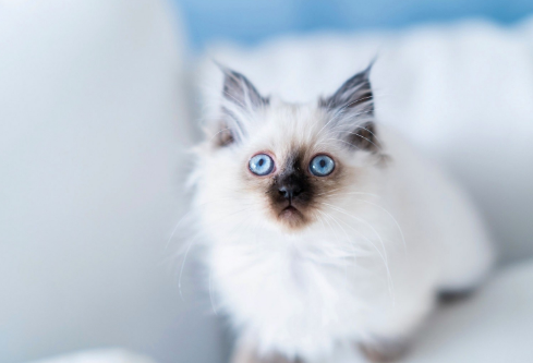 1686991630346846.png image.png