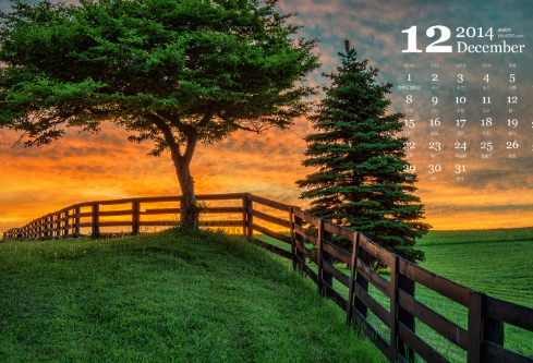 1687131824890819.png image.png